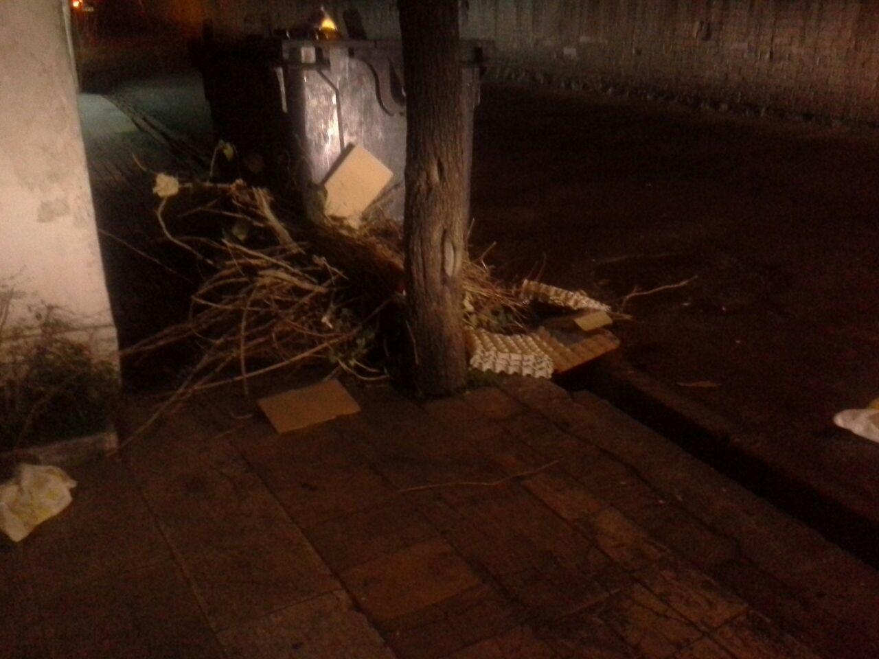 سطل آشغالهای لعنتی در محله جام جم + عکس شهردار محترم