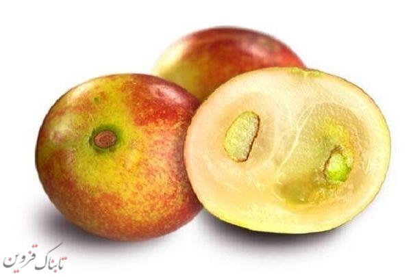 میوه ای که از چاقی و بیماری های متابولیک پیشگیری می کند