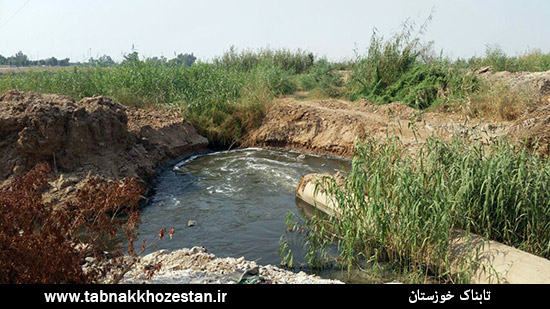 لاهیچان زاده لاهیچان زاده
