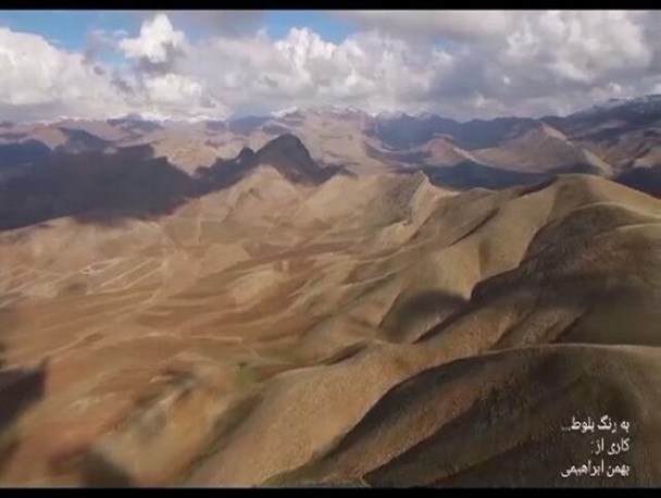 «به رنگ بلوط» اکران می شود