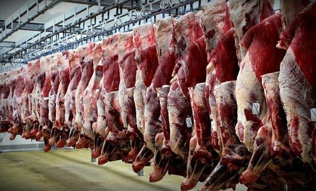 قیمت گوشت قرمز کاهش مییابد؟ قیمت گوشت قرمز کاهش مییابد؟