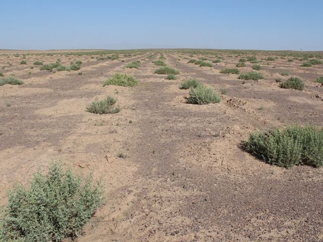 مراتع گلستان بیابان نمی&zwnj;شود