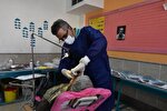 ۱۵۰ هزار خدمت سلامت توسط گروه‌های جهادی در یزد ارائه شد