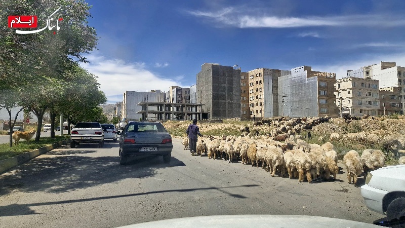 ایلام؛ روستایی در دل یک شهر/ تا کی باید منتظر تحول ماند؟