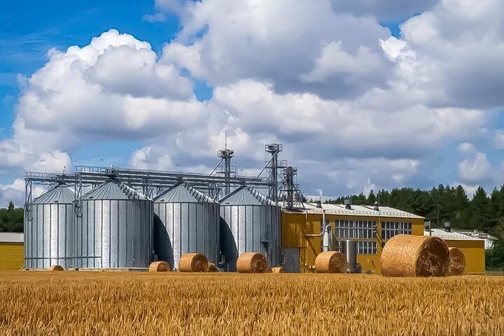 اصفهان در صدر خرید تضمینی گندم اصفهان در صدر خرید تضمینی گندم