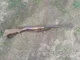 کشف لاشه ۲۰ قطعه کبک در اردبیل/ متخلف به مراجع قضایی معرفی شد