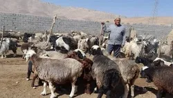 ایجاد 968 طرح مددجویی در استان اصفهان